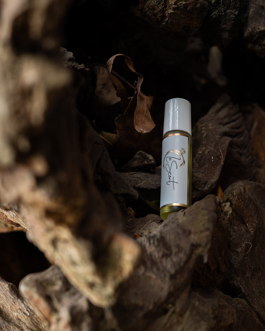 Welcome to LeScent News: The Next Chapter of Skin, Hair & Home Fragrance