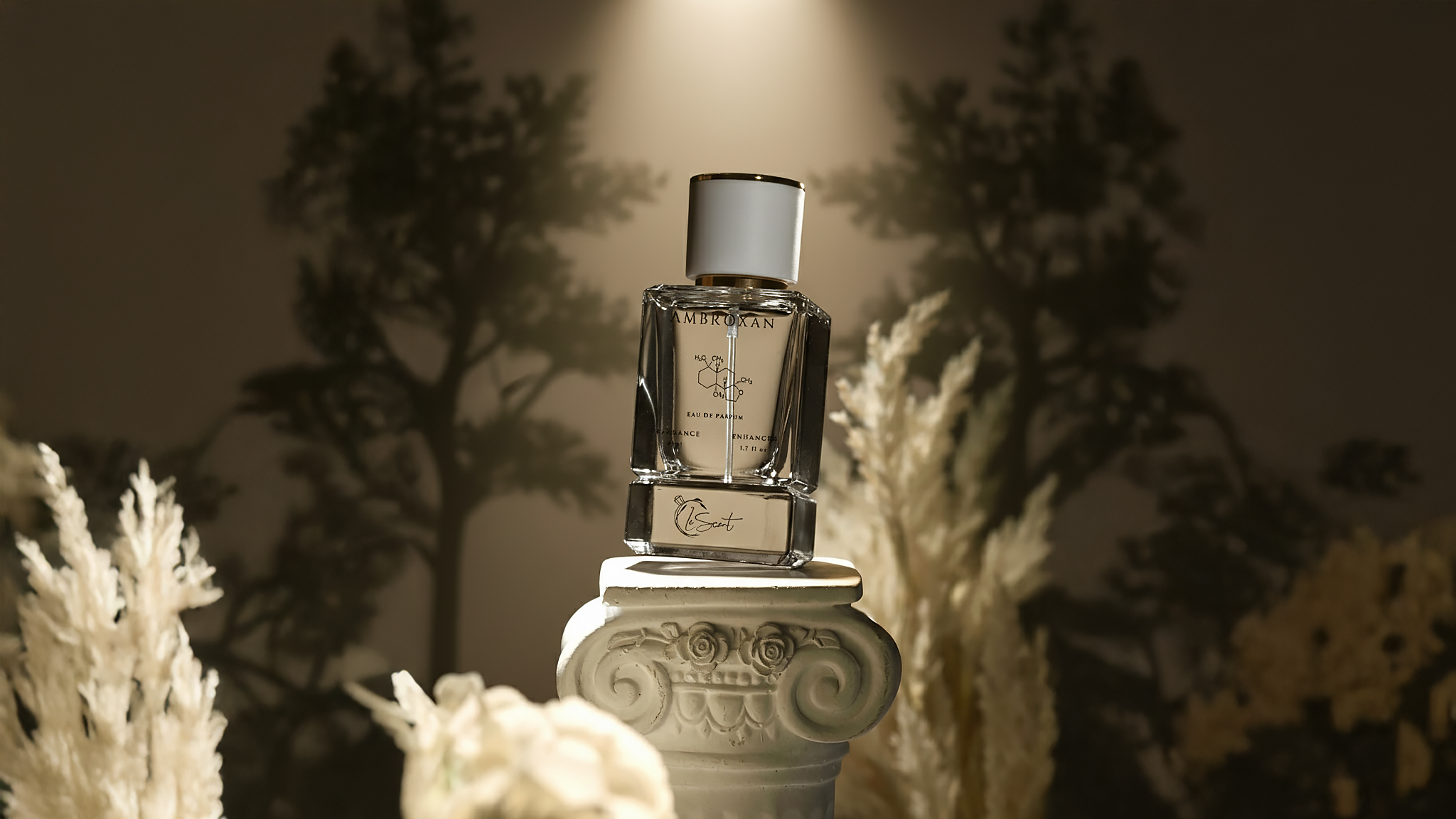 LeScent Ambroxan Eau de Parfum bottle displayed on an ornate pedestal under spotlight, surrounded by pampas grass — symbolizing refined craftsmanship and modern olfactory elegance.