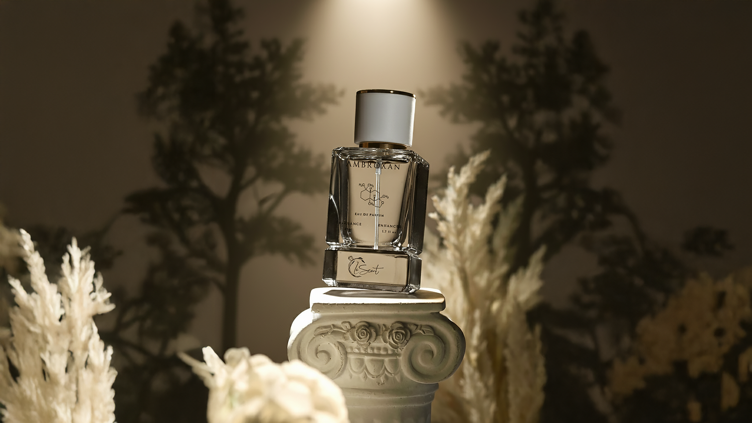 LeScent Ambroxan Eau de Parfum bottle displayed on an ornate pedestal under spotlight, surrounded by pampas grass — symbolizing refined craftsmanship and modern olfactory elegance.