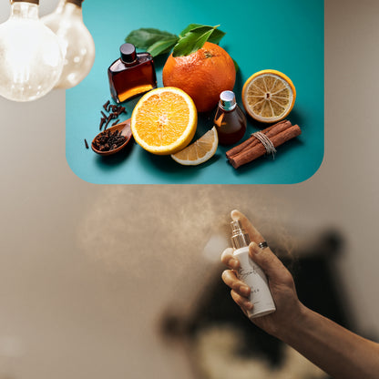 Spraying LeScent Breeze home fragrance freshener mist beside citrus fruits, orange, lemon, and cinnamon on a turquoise background, inspired by Louis Vuitton Imagination.