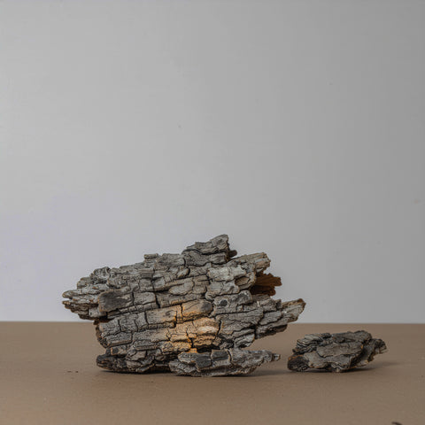 Description of image