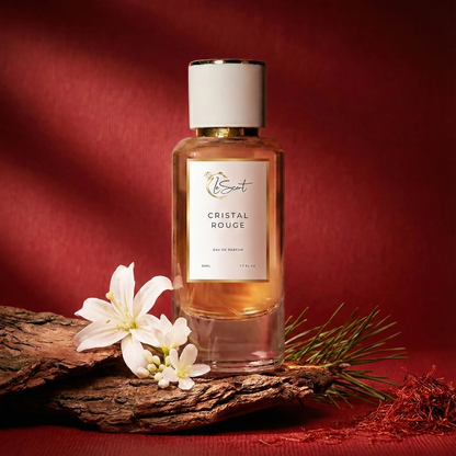 Perfume Fragrance
