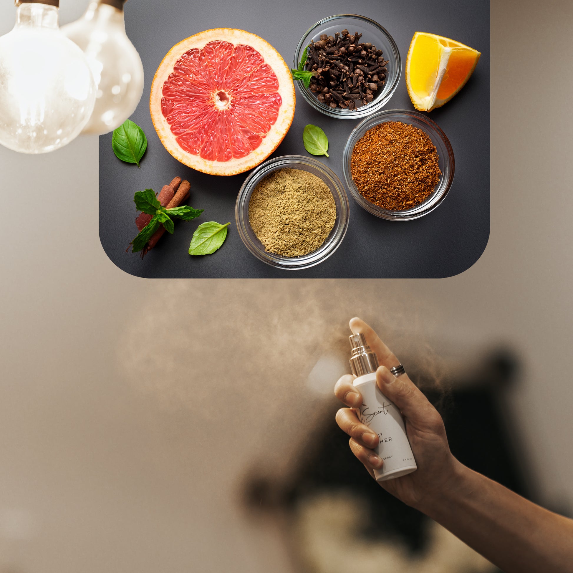 Spraying LeScent One & Only home fragrance freshener mist beside grapefruit, orange slice, cloves, and warm spice blends, inspired by Dolce & Gabbana The One.