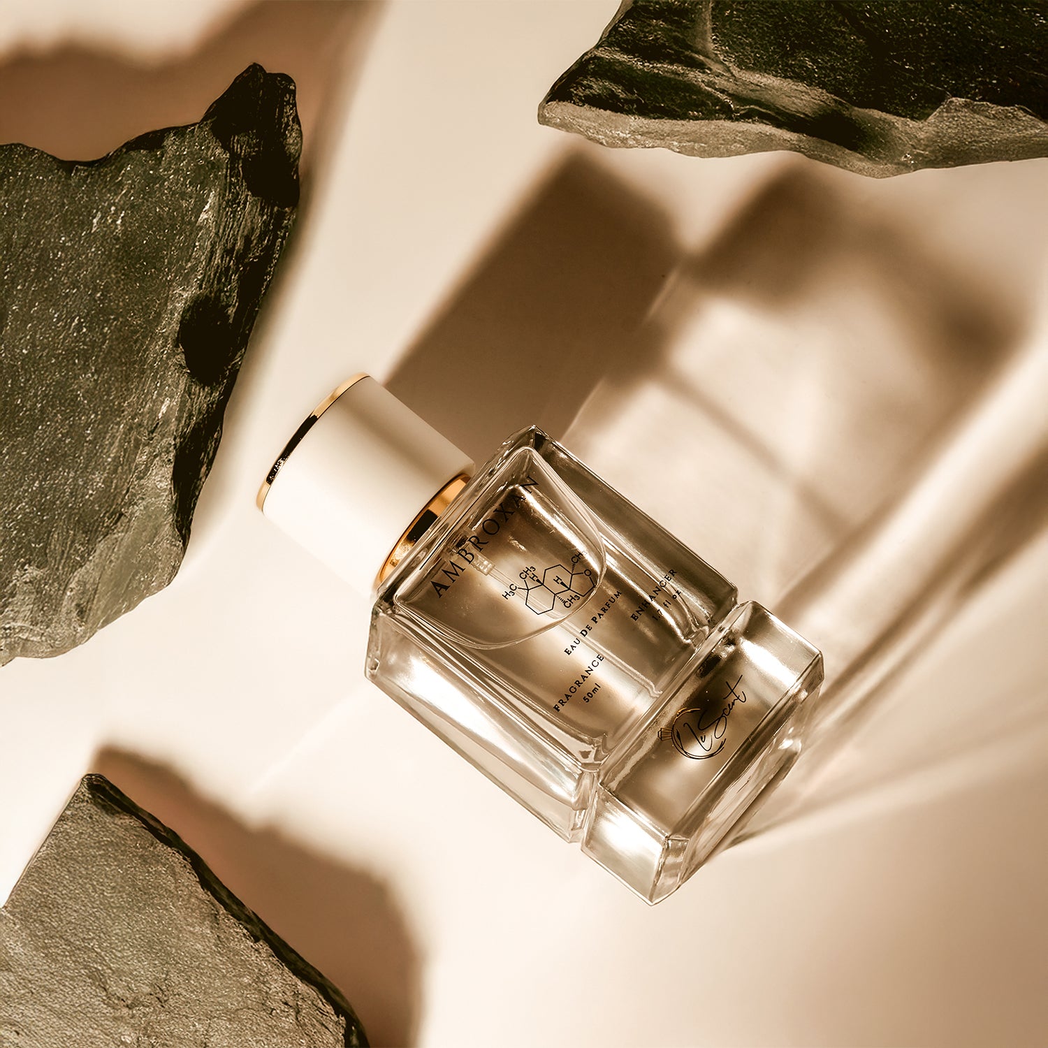 LeScent Ambroxan perfume primer bottle in a flat lay composition with stone textures and soft shadows.